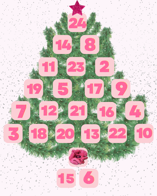 1er décembre - Le chouchou